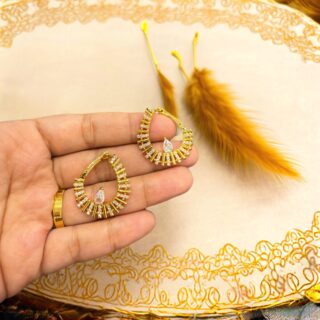 Hoop Earrings V1