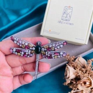 Stone Brooch V7