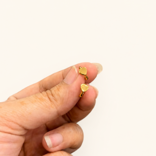 Bauti Earring V15